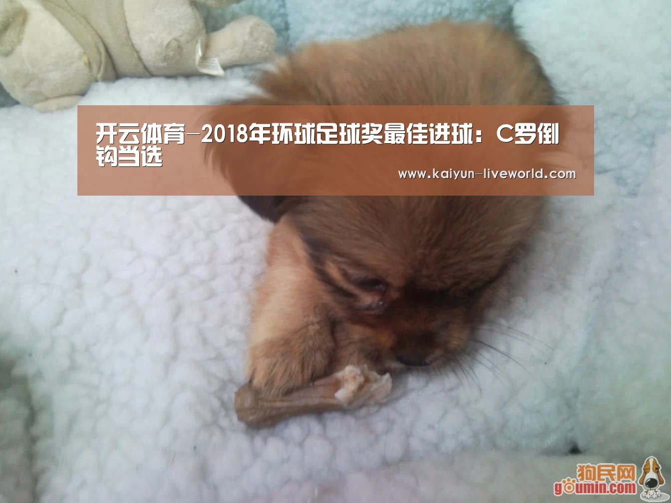 开云体育-2018年环球足球奖最佳进球:C罗倒钩当选(图1) 开云赛事