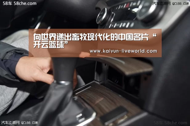 开云篮球