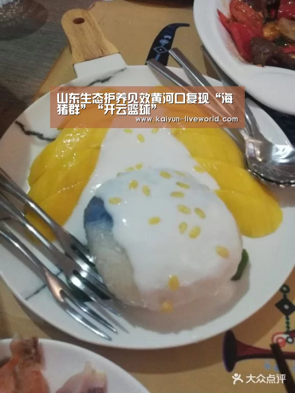 开云赛事
