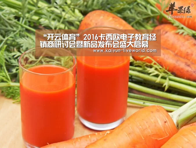 “开云体育”2016卡西欧电子教育经销商研讨会暨新品发布会盛大启幕(图3) 开云足球