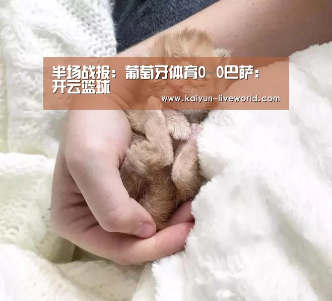 开云篮球