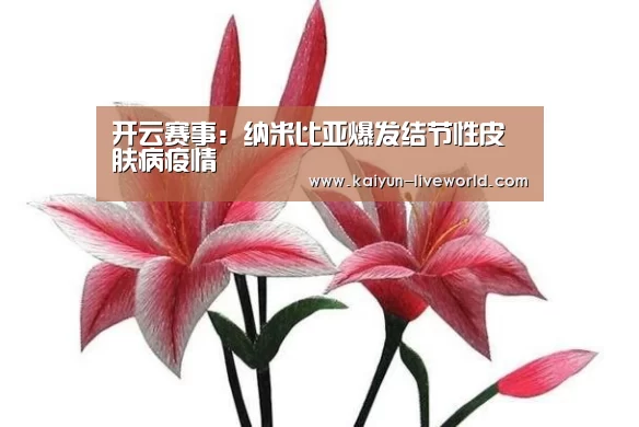 开云体育